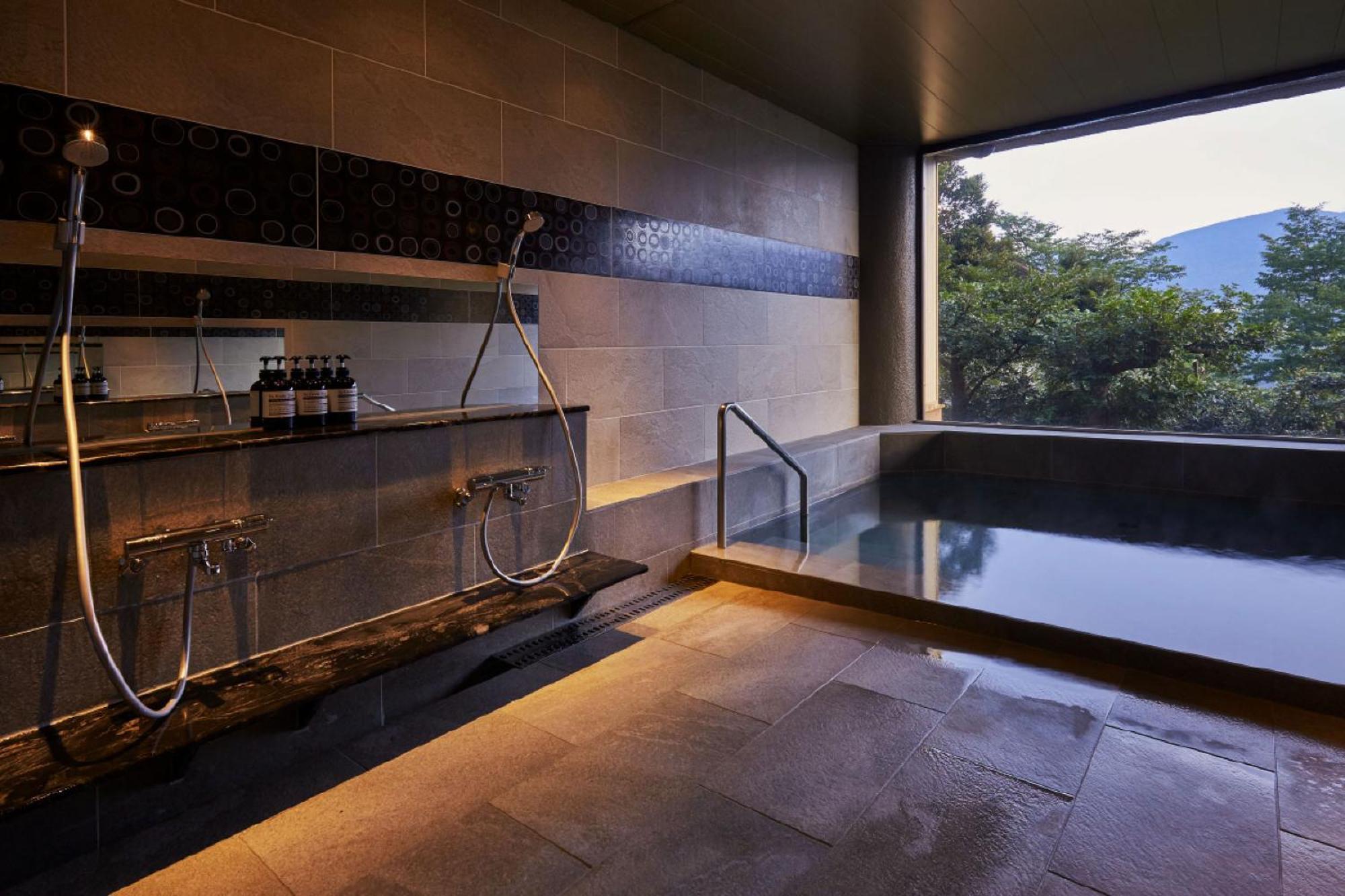 Hakone Elecasa Hotel And Spa Экстерьер фото