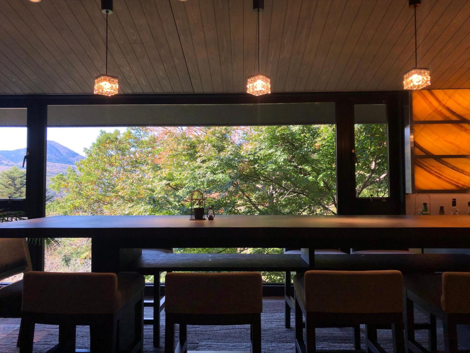 Hakone Elecasa Hotel And Spa Экстерьер фото