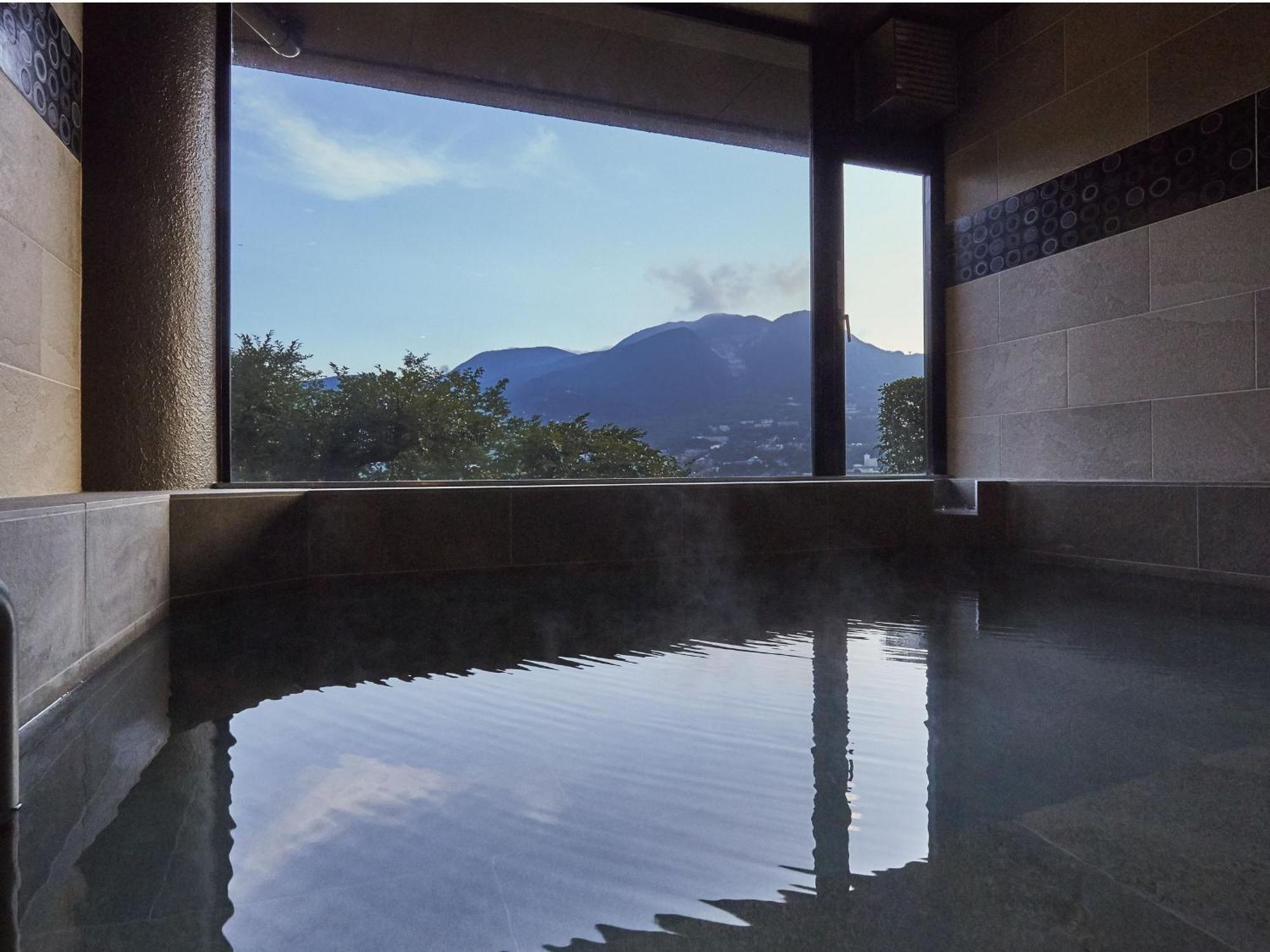 Hakone Elecasa Hotel And Spa Экстерьер фото